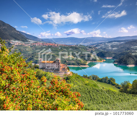 Fabulous  View of the Cles Castel, the Santa Giustina Lake and lots of apple plantations. 101773060