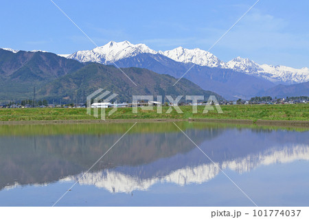 山麓から望む春の北アルプス後立山連峰 山麓から望む春の北アルプス後立山連峰 101774037