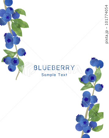 水彩風のフレッシュなブルーベリーの背景イラスト 101774054