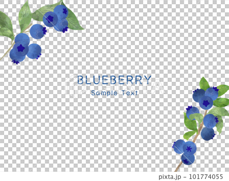 Background illustration of fresh blueberries in watercolor style 101774055