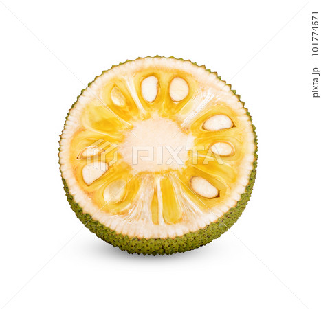 Ripe half Jackfruit isolated on white background 101774671