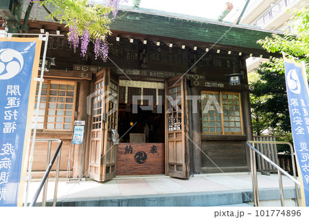 國領神社　千年乃藤　藤の花　見頃　賽銭箱　春晴れ　東京都調布市国領町 101774896
