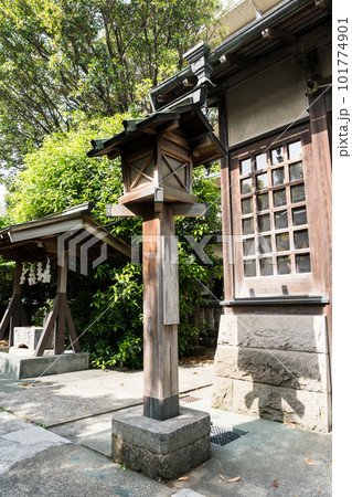 國領神社　千年乃藤　綺麗な藤の花　見頃　灯篭　春晴れ　東京都調布市国領町 101774901