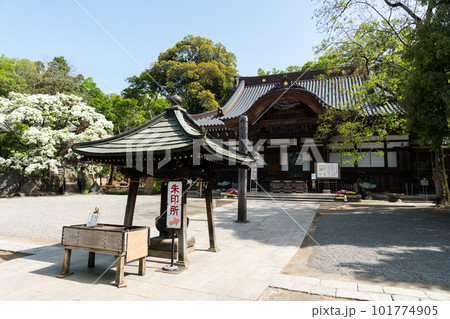 深大寺の常香炉と本堂 春の青空 東京都調布市 深大寺の常香炉と本堂 春の青空 東京都調布市 101774905