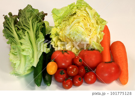 野菜の食材 野菜の食材 101775128
