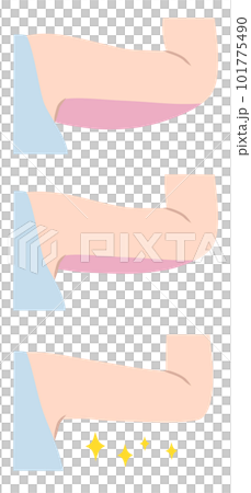 女性の二の腕のイラスト素材 101775490