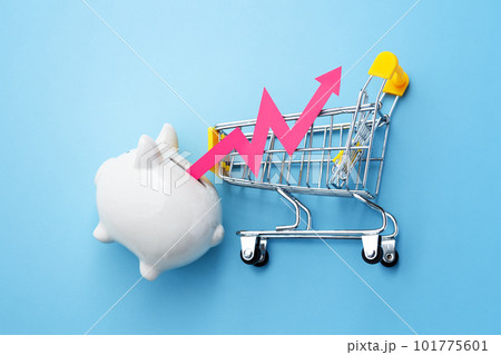 Inflation and consumer price increasing concept with red graph rising out of piggy bank with shopping cart Inflation and consumer price increasing concept with red graph rising out of piggy bank with shopping cart 101775601