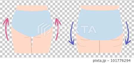 圓臀和方臀插畫素材 101776294