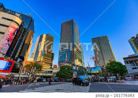 東京　渋谷駅前の都市風景　渋谷スクランブル交差点 101776363
