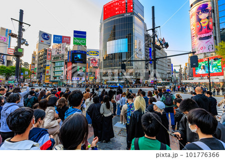東京 渋谷駅前の都市風景 渋谷スクランブル交差点 東京 渋谷駅前の都市風景 渋谷スクランブル交差点 101776366