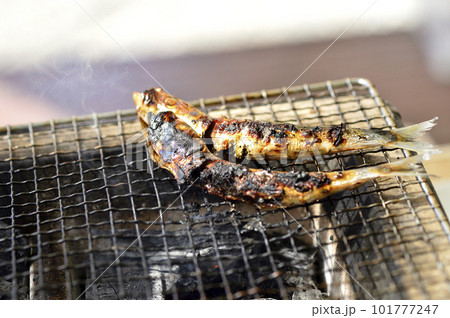 七輪で焼いたイワシ丸干し 七輪で焼いたイワシ丸干し 101777247
