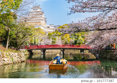 桜満開の姫路城 お堀を遊覧する和船と大天守 桜満開の姫路城 お堀を遊覧する和船と大天守 101777387