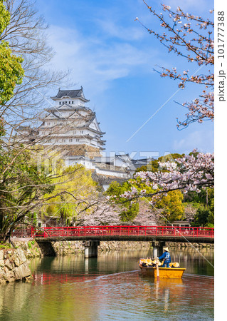 桜満開の姫路城　お堀を遊覧する和船と大天守 101777388