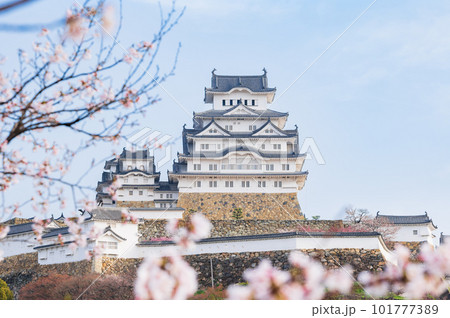 春の姫路城 桜景 春の姫路城 桜景 101777389