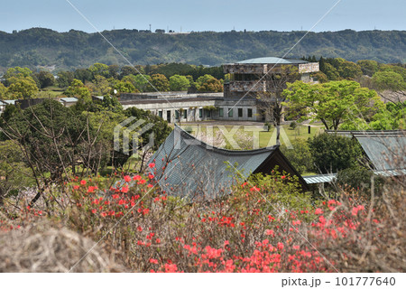 「宮崎県」西都原考古博物館 春の風景 「宮崎県」西都原考古博物館 春の風景 101777640