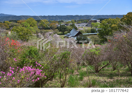 「宮崎県」西都原考古博物館　春の風景 101777642