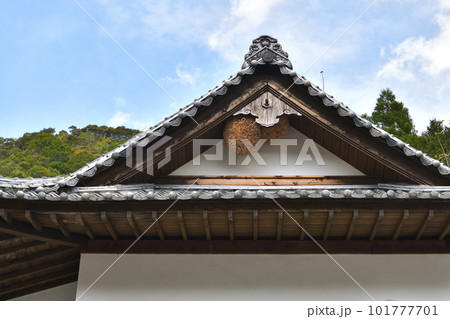 「宮崎県」小川民俗資料館 スズメバチの大きな巣 「宮崎県」小川民俗資料館 スズメバチの大きな巣 101777701