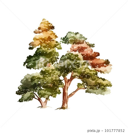 Watercolor tree hand draw vector nature painting Watercolor tree hand draw vector nature painting 101777852