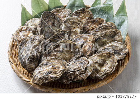 新鮮な海の幸で美味しい牡蠣 101778277