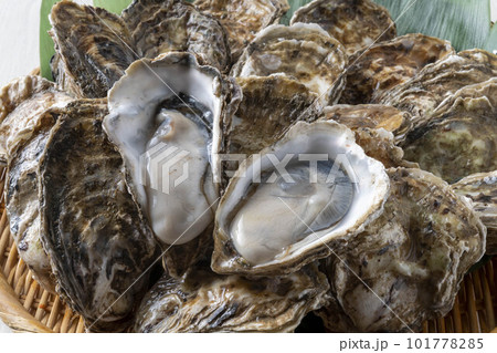 新鮮な海の幸で美味しい牡蠣 新鮮な海の幸で美味しい牡蠣 101778285