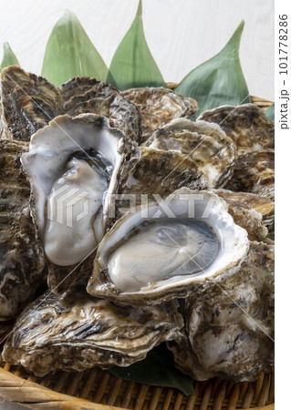 新鮮な海の幸で美味しい牡蠣 新鮮な海の幸で美味しい牡蠣 101778286