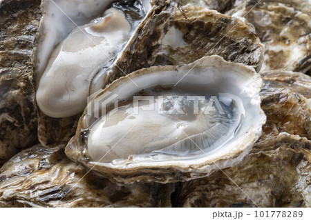 新鮮な海の幸で美味しい牡蠣 新鮮な海の幸で美味しい牡蠣 101778289