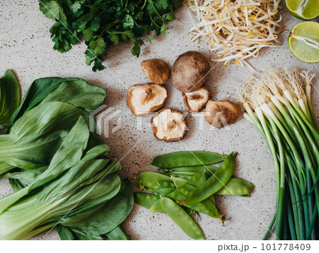 Cooking ingredients for Asian dishes on gray concrete background Cooking ingredients for Asian dishes on gray concrete background 101778409