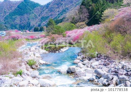 Togenkyo] Hanamomo no Sato in Achi Village - Stock Photo