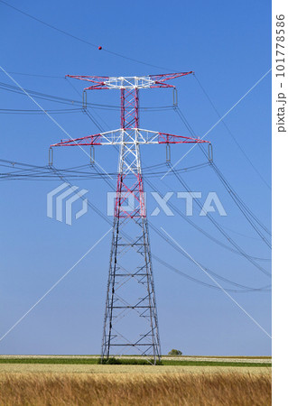 Electricity pylon passing through a field 101778586