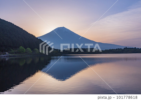 （静岡県）田貫湖夜明け、ダイヤモンド富士を待つ 101778618