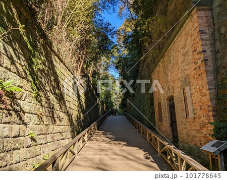 天空の城ラピュタの世界(猿島) 天空の城ラピュタの世界(猿島) 101778645