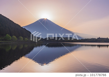 （静岡県）田貫湖　ダイヤモンド富士 101778766