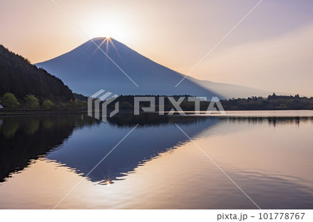 （静岡県）田貫湖　ダイヤモンド富士 101778767