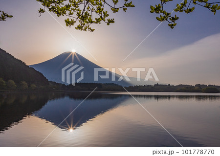 (静岡県)田貫湖 ダイヤモンド富士 (静岡県)田貫湖 ダイヤモンド富士 101778770