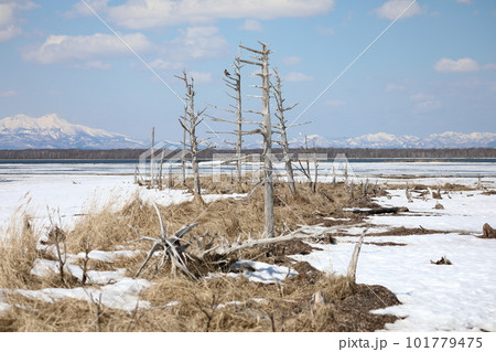 この世の果てと言われる3月のトドワラ この世の果てと言われる3月のトドワラ 101779475