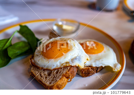 【#朝食】目玉焼きとパン 【#朝食】目玉焼きとパン 101779643