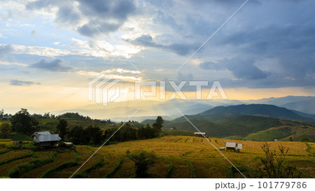 Beautiful landscape view of rice terraces in chiang mai , Thailand. Rice seedling on terrace rice fields with sunbeam. Beautiful landscape view of rice terraces in chiang mai , Thailand. Rice seedling on terrace rice fields with sunbeam. 101779786