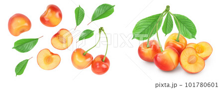 yellow-red sweet cherry isolated on white background . Top view. Flat lay 101780601