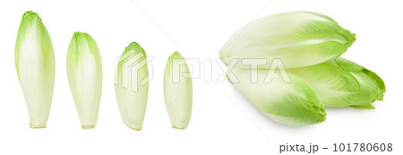 Chicory salad isolated on white background with full depth of field. Top view. Flat lay 101780608
