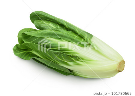 Organic fresh chard plant isolated on white background with full depth of field 101780665