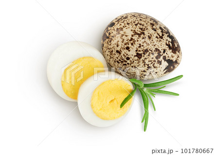 boiled quail egg isolated on white background with full depth of field. Top view. Flat lay 101780667