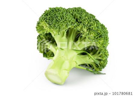 fresh broccoli isolated on white background close-up with full depth of field. 101780681