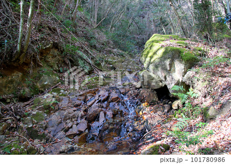 中山縦走 足洗川のせせらぎ 中山縦走 足洗川のせせらぎ 101780986