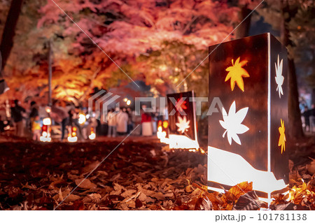 月の石もみじ公園の紅葉ライトアップ 101781138