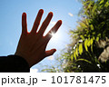 手 両手 手の上 101781475