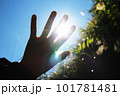 手 両手 手の上 101781481