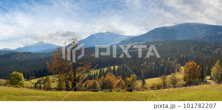 Beautiful autumn morning near Carpathian village outskirts (in counter light). Beautiful autumn morning near Carpathian village outskirts (in counter light). 101782207