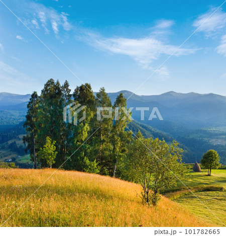 Evening summer mountain landscape Evening summer mountain landscape 101782665