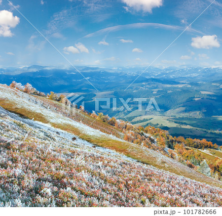 First winter snow and autumn colourful foliage on mountain First winter snow and autumn colourful foliage on mountain 101782666