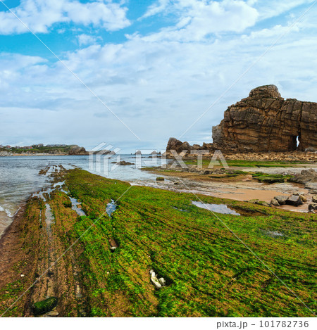 Spring sea rocky coast view with hole in rock and algae on stone (Playa Del Portio, Biskaya, Cantabria, Spain). 101782736
